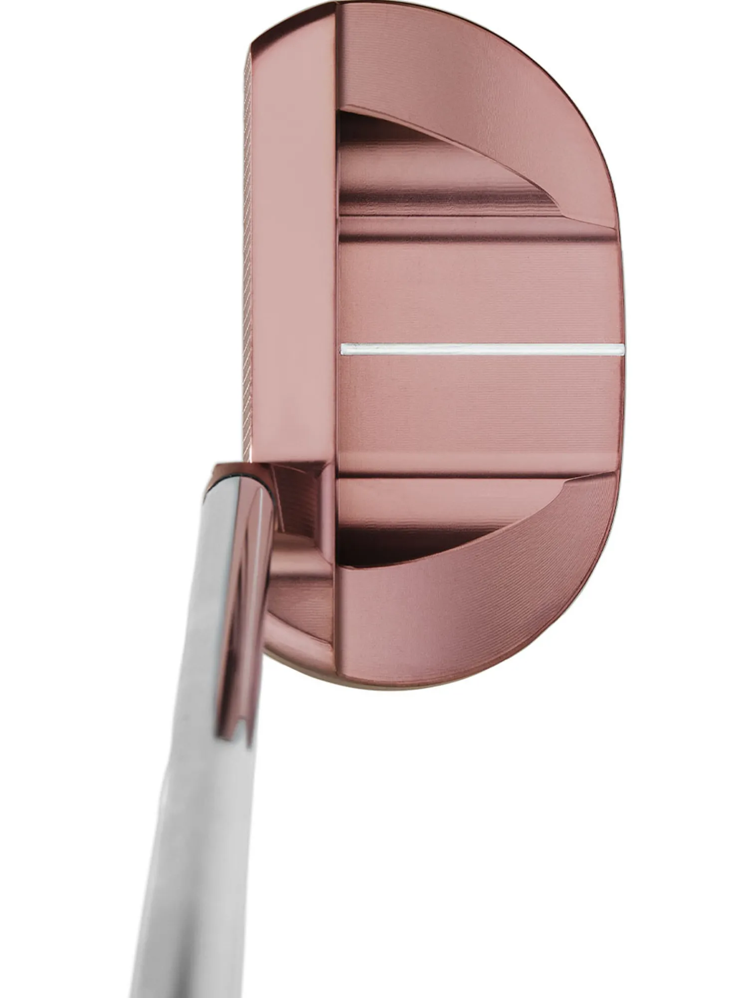 Bettinardi Putters|Queen B7 2025 Putter