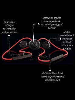 GravityFit Training Aids|TPro 2.0
